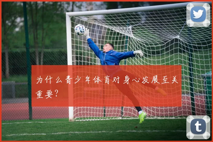 为什么青少年体育对身心发展至关重要?