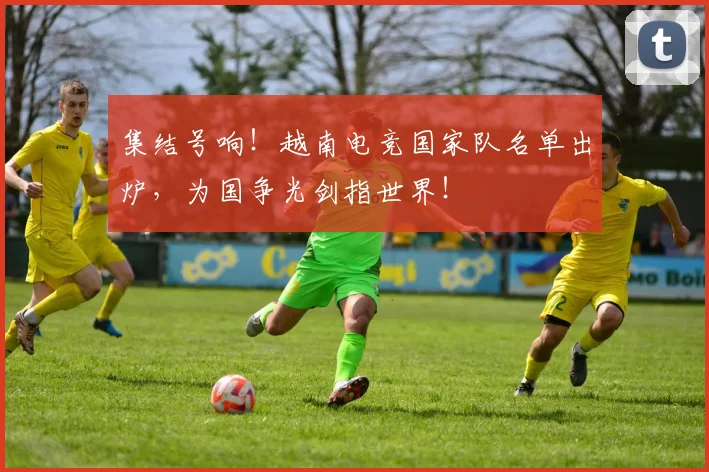 集结号响！越南电竞国家队名单出炉，为国争光剑指世界！